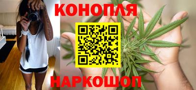 гидропоника Кингисепп