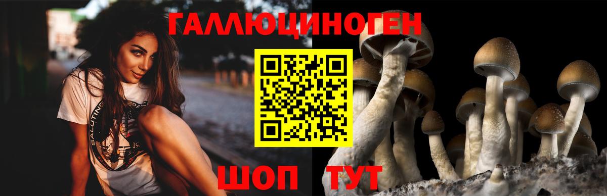 Псилоцибиновые грибы GOLDEN TEACHER Кириши